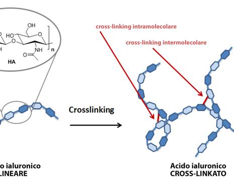 Acido ialuronico lineare e cross-linkato 1
